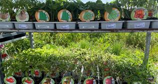 CELLER DE VITICULTORS