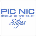 Logotip de PIC NIC 