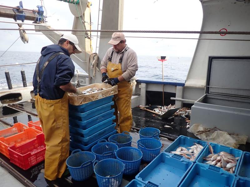 Amb quina posició t’identifiques més del conflicte pesquer?