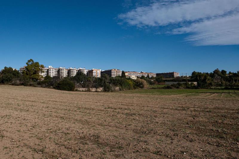 S’haurien de consultar decisions ambientals amb fort impacte econòmic municipal?