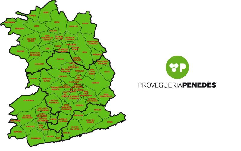 Qui hauria de poder participar en una eventual consulta sobre el futur comarcal de Cunit?